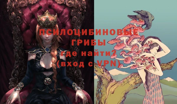 бошки Алексин