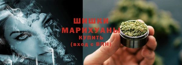 бошки Алексин