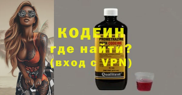 индика Медногорск