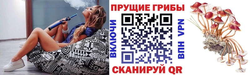 Галлюциногенные грибы ЛСД  Абаза 