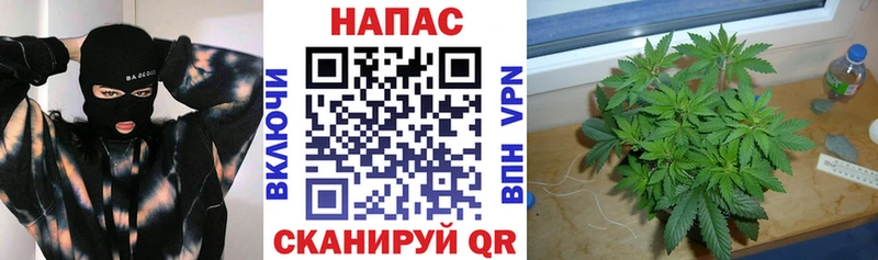 Бошки марихуана White Widow дарнет шоп Абаза